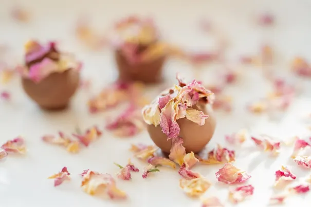 카지노 벨라 베가스 안드로이드/iOS 앱